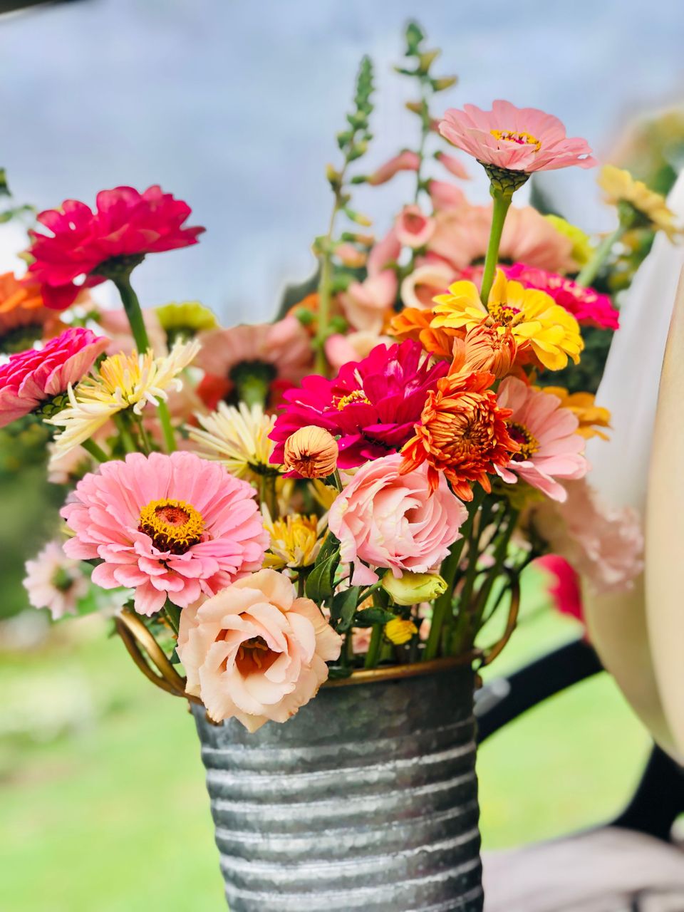 A Bucket of Sunshine